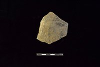 藏品(陶片)的圖片